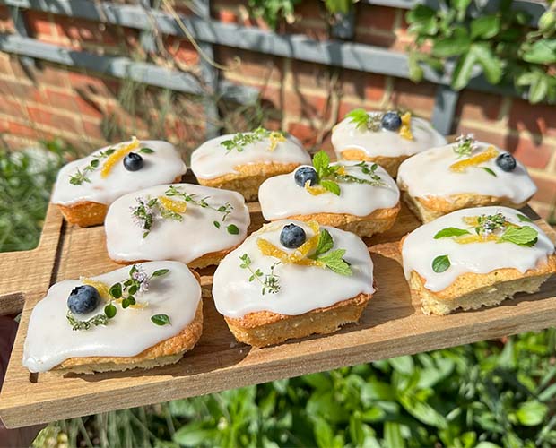 mini lunchbox sixed loaf cakes, topped with lemon icing, lemon balm, thyme and fresh blueberries